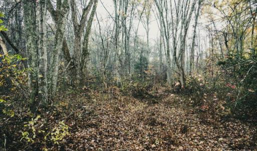 Photo #26 of 12600 W CATHARPIN RD, SPOTSYLVANIA, VA 312.0 acres