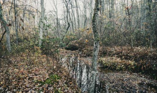 Photo #29 of 12600 W CATHARPIN RD, SPOTSYLVANIA, VA 312.0 acres