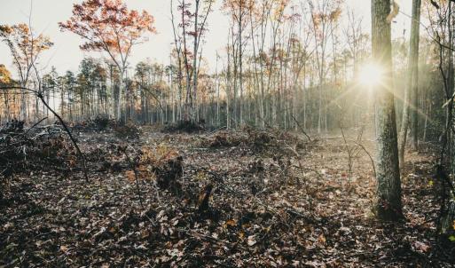 Photo #35 of 12600 W CATHARPIN RD, SPOTSYLVANIA, VA 312.0 acres