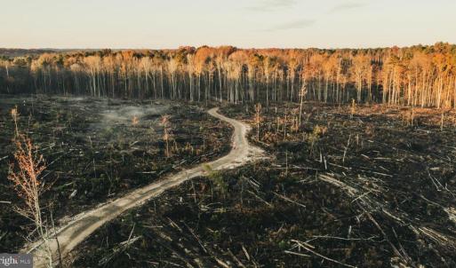 Photo #6 of 12600 W CATHARPIN RD, SPOTSYLVANIA, VA 312.0 acres