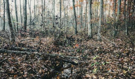 Photo #34 of 12600 W CATHARPIN RD, SPOTSYLVANIA, VA 312.0 acres