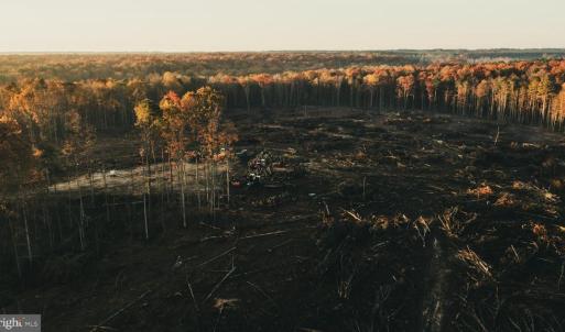 Photo #10 of 12600 W CATHARPIN RD, SPOTSYLVANIA, VA 312.0 acres