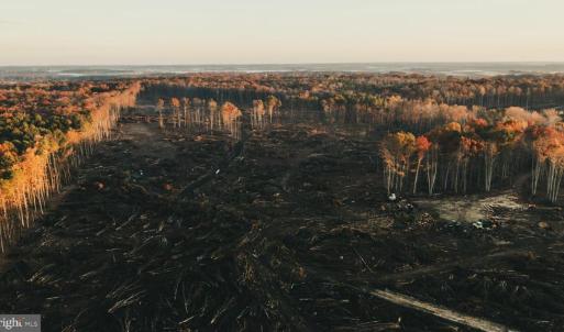 Photo #11 of 12600 W CATHARPIN RD, SPOTSYLVANIA, VA 312.0 acres