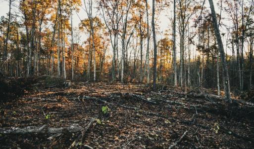 Photo #20 of 12600 W CATHARPIN RD, SPOTSYLVANIA, VA 312.0 acres