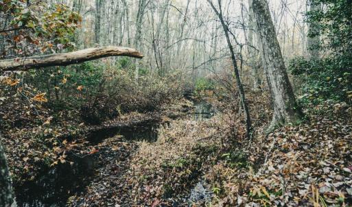 Photo #28 of 12600 W CATHARPIN RD, SPOTSYLVANIA, VA 312.0 acres