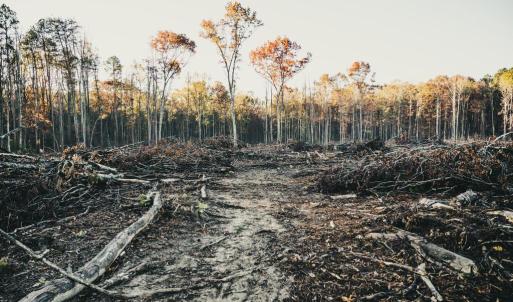 Photo #36 of 12600 W CATHARPIN RD, SPOTSYLVANIA, VA 312.0 acres