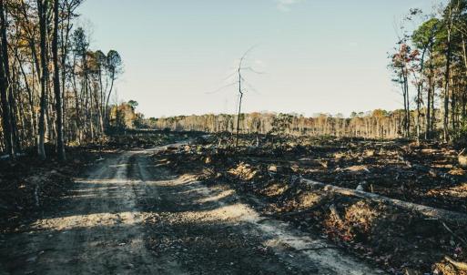 Photo #38 of 12600 W CATHARPIN RD, SPOTSYLVANIA, VA 312.0 acres