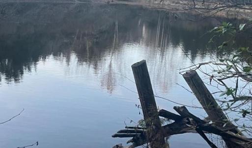 Photo #4 of MITCHELL FORD RD, LIGNUM, VA 96.5 acres