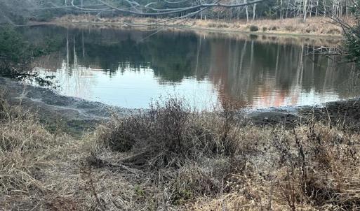 Photo #2 of MITCHELL FORD RD, LIGNUM, VA 96.5 acres