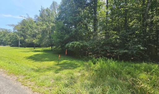 Photo #8 of JACKS SHOP RD, MADISON, VA 5.5 acres