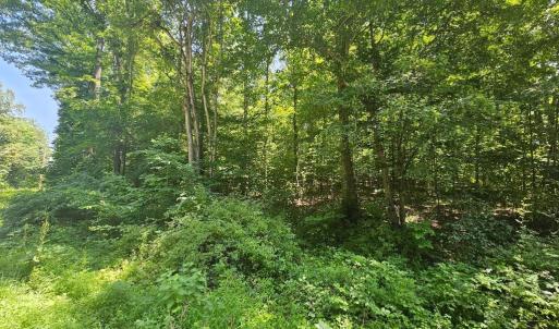 Photo #7 of JACKS SHOP RD, MADISON, VA 5.5 acres