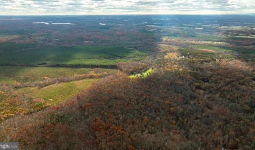 Photo #3 of 14100 CEDAR PLANTATION RD, SPOTSYLVANIA, VA 30.1 acres