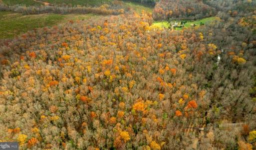 Photo #4 of 14100 CEDAR PLANTATION RD, SPOTSYLVANIA, VA 30.1 acres