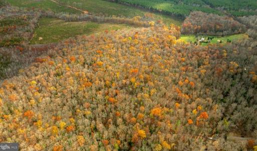 Photo #10 of 14100 CEDAR PLANTATION RD, SPOTSYLVANIA, VA 30.1 acres
