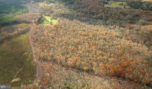 Photo #11 of 14100 CEDAR PLANTATION RD, SPOTSYLVANIA, VA 30.1 acres