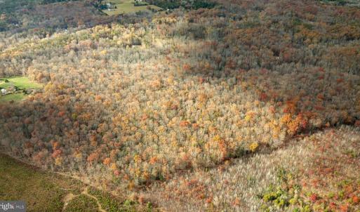 Photo #13 of 14100 CEDAR PLANTATION RD, SPOTSYLVANIA, VA 30.1 acres