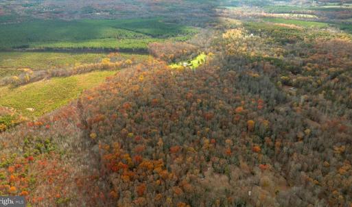 Photo #5 of 14100 CEDAR PLANTATION RD, SPOTSYLVANIA, VA 30.1 acres