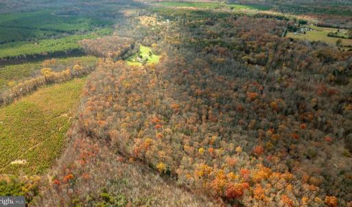 Photo #7 of 14100 CEDAR PLANTATION RD, SPOTSYLVANIA, VA 30.1 acres