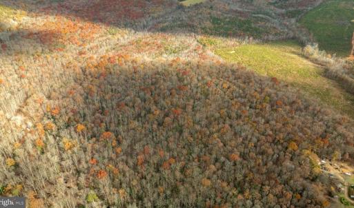 Photo #14 of 14100 CEDAR PLANTATION RD, SPOTSYLVANIA, VA 30.1 acres