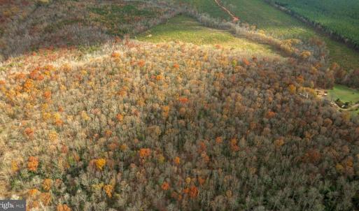 Photo #16 of 14100 CEDAR PLANTATION RD, SPOTSYLVANIA, VA 30.1 acres