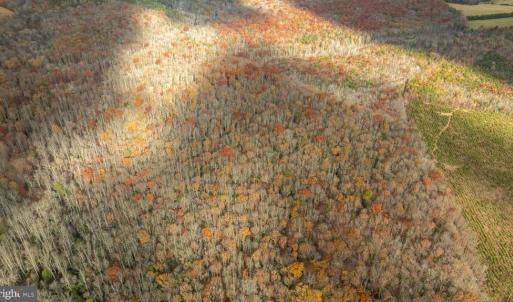Photo #19 of 14100 CEDAR PLANTATION RD, SPOTSYLVANIA, VA 30.1 acres