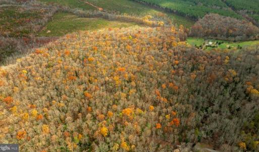 Photo #8 of 14100 CEDAR PLANTATION RD, SPOTSYLVANIA, VA 30.1 acres