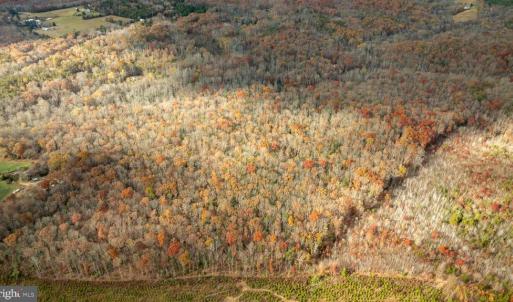 Photo #15 of 14100 CEDAR PLANTATION RD, SPOTSYLVANIA, VA 30.1 acres