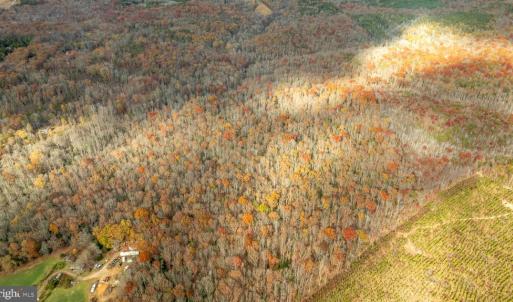 Photo #18 of 14100 CEDAR PLANTATION RD, SPOTSYLVANIA, VA 30.1 acres