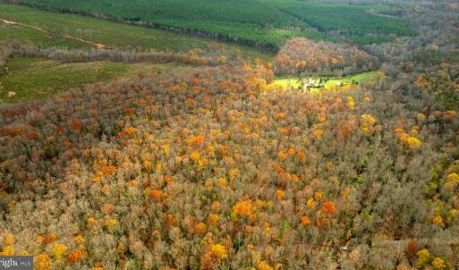 Photo #6 of 14100 CEDAR PLANTATION RD, SPOTSYLVANIA, VA 30.1 acres