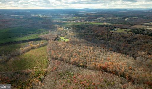 Photo #9 of 14100 CEDAR PLANTATION RD, SPOTSYLVANIA, VA 30.1 acres