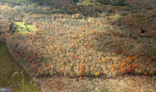 Photo #12 of 14100 CEDAR PLANTATION RD, SPOTSYLVANIA, VA 30.1 acres