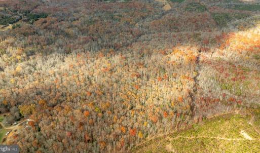 Photo #17 of 14100 CEDAR PLANTATION RD, SPOTSYLVANIA, VA 30.1 acres