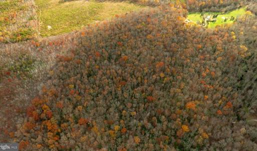 Photo #2 of 14100 CEDAR PLANTATION RD, SPOTSYLVANIA, VA 30.1 acres