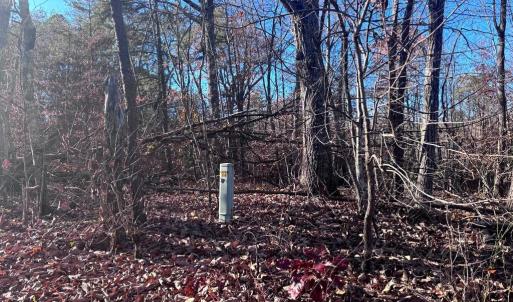 Photo #2 of MAIN UNO BAPTIST CHURCH LN, ROCHELLE, VA 4.2 acres