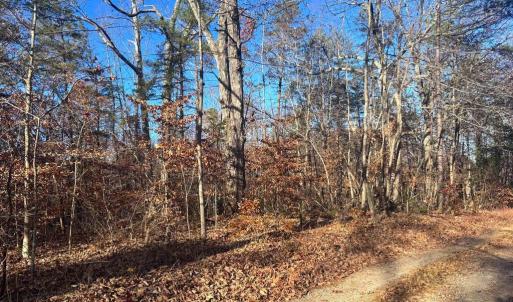 Photo #3 of MAIN UNO BAPTIST CHURCH LN, ROCHELLE, VA 4.2 acres