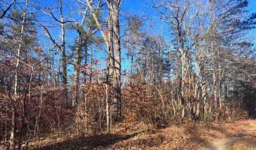 Photo #4 of MAIN UNO BAPTIST CHURCH LN, ROCHELLE, VA 4.2 acres