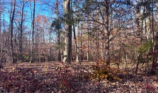 Photo #5 of MAIN UNO BAPTIST CHURCH LN, ROCHELLE, VA 4.2 acres