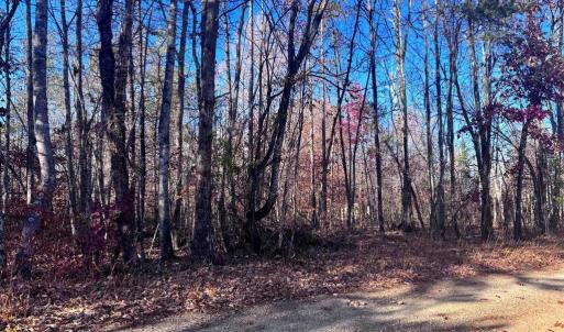 Photo #9 of MAIN UNO BAPTIST CHURCH LN, ROCHELLE, VA 4.2 acres