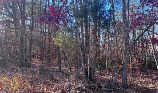 Photo #10 of MAIN UNO BAPTIST CHURCH LN, ROCHELLE, VA 4.2 acres