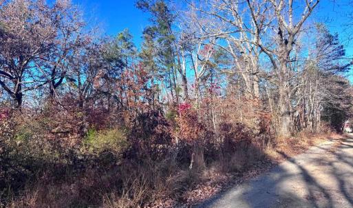 Photo #12 of MAIN UNO BAPTIST CHURCH LN, ROCHELLE, VA 4.2 acres