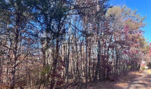 Photo #7 of MAIN UNO BAPTIST CHURCH LN, ROCHELLE, VA 4.2 acres