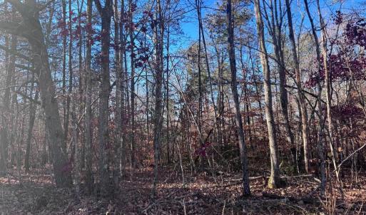 Photo #8 of MAIN UNO BAPTIST CHURCH LN, ROCHELLE, VA 4.2 acres