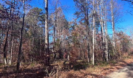 Photo #11 of MAIN UNO BAPTIST CHURCH LN, ROCHELLE, VA 4.2 acres