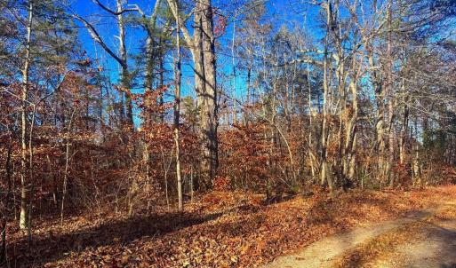 Photo #4 of MAIN UNO BAPTIST CHURCH LN, ROCHELLE, VA 4.2 acres