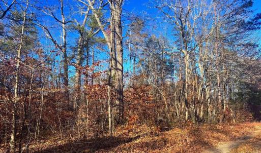 Photo #5 of MAIN UNO BAPTIST CHURCH LN, ROCHELLE, VA 4.2 acres