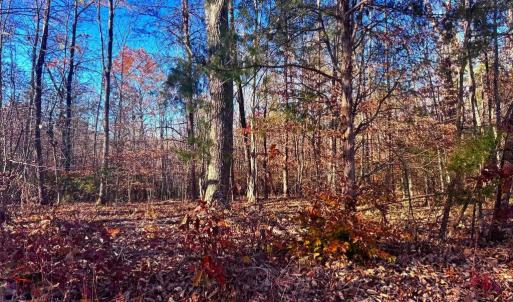 Photo #6 of MAIN UNO BAPTIST CHURCH LN, ROCHELLE, VA 4.2 acres