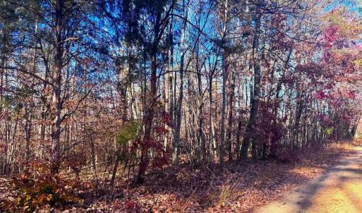 Photo #7 of MAIN UNO BAPTIST CHURCH LN, ROCHELLE, VA 4.2 acres