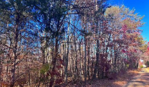 Photo #8 of MAIN UNO BAPTIST CHURCH LN, ROCHELLE, VA 4.2 acres