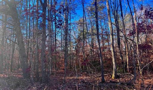 Photo #9 of MAIN UNO BAPTIST CHURCH LN, ROCHELLE, VA 4.2 acres