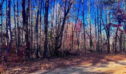 Photo #10 of MAIN UNO BAPTIST CHURCH LN, ROCHELLE, VA 4.2 acres